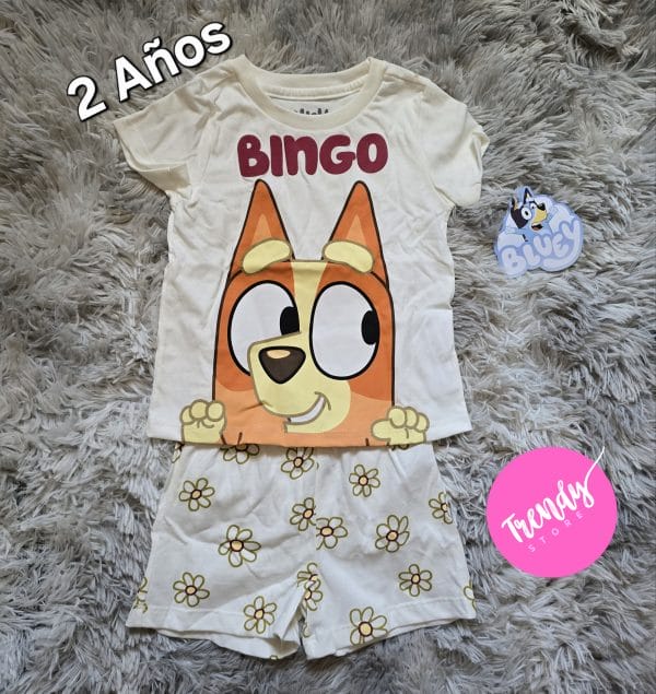 conjunto bingo